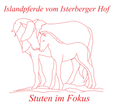 Islandpferde vom Isterberger Hof - Stuten im Fokus